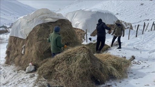 Hakkari'de besiciler hayvanları i&ccedil;in kar ve soğukla m&uuml;cadele ediyor