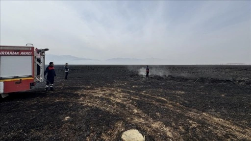 Hakkari'deki Nehil Sazlığı'nda 7 Kasım'da çıkan yangın söndürüldü