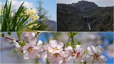 Hakkari'nin Derecik il&ccedil;esinde havanın ısınmasıyla doğa canlandı