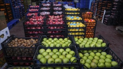 Hal işlemlerinde &ccedil;ifte fatura ve d&uuml;ş&uuml;k fiyat bildirimiyle vergi kaybı tespit edildi