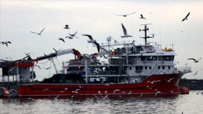 Hamsinin izini s&uuml;ren Karadenizli balık&ccedil;ılar rotalarını İğneada'ya &ccedil;evirdi