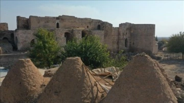 Harran Sarayı'nın 9 asırlık salonu gün yüzüne çıkarıldı