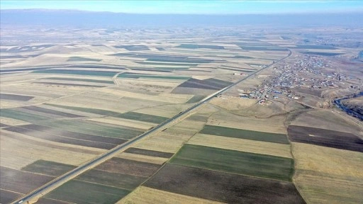 Hasadın tamamlandığı Kars Ovası'ndaki tarlalar "halı desenini" andırıyor