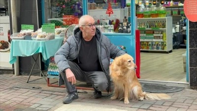 Hastalığına tanı konulamayan k&ouml;pek sevginin g&uuml;c&uuml;yle hayata bağlandı