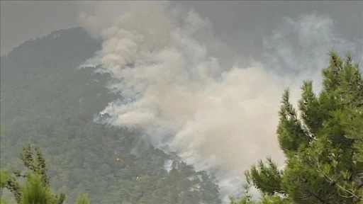 Hatay'da 2 farklı noktada çıkan orman yangınlarına müdahale ediliyor