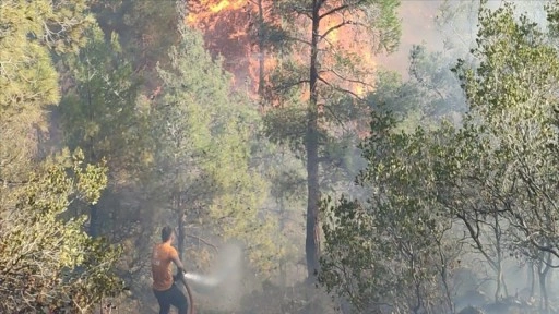 Hatay'da çıkan orman yangınına müdahale ediliyor