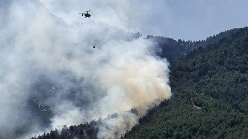 Hatay'da ormanlık alanda yangın çıktı