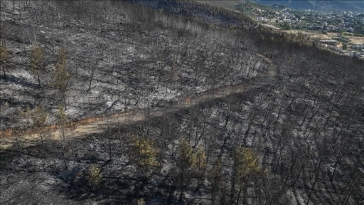 Hatay'daki orman yangınında zarar gören alanlar dronla görüntülendi