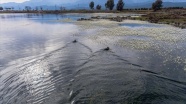 Hatay&#039;daki volkanik Haydarlar Gölü göçmen kuşlara ev sahipliği yapıyor