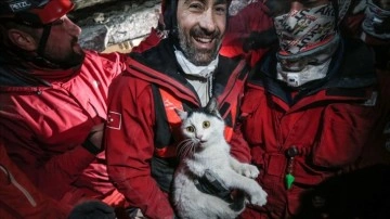 Hatay'da 116 saat sonra kadının kurtarıldığı enkazdan bir de kedi canlı olarak çıkarıldı