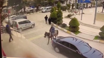 Hatay'da at arabasına el konulan kişi atıyla belediyeye girmeye çalıştı