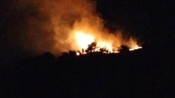 Hatay'da ormanlık alanda &ccedil;ıkan yangın s&ouml;nd&uuml;r&uuml;ld&uuml;