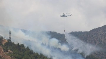 Hatay'daki orman yangınının sigara izmaritinden kaynaklandığı öne sürüldü