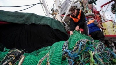 Hava koşulları nedeniyle denize a&ccedil;ılamayan Egeli balık&ccedil;ılar sezonun kalanından umutlu