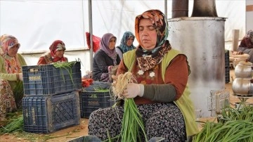 Havaların mevsim normalinin üzerinde seyretmesi kışlık sebzelere talebi azalttı