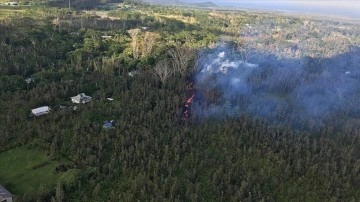 Hawaii'de devam eden orman yangınlarında 36 kişi öldü
