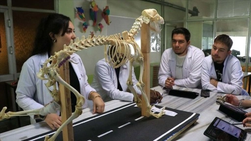 Hayvan kemiklerinden yapılan iskeletler yapay zekayla dijitale aktarılıyor