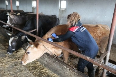 Hayvan sağlığı ve refahı uluslararası işbirlikleriyle korunacak