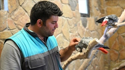 Hayvanat bahçesindeki papağanlara 12 yıldır gözü gibi bakıyor
