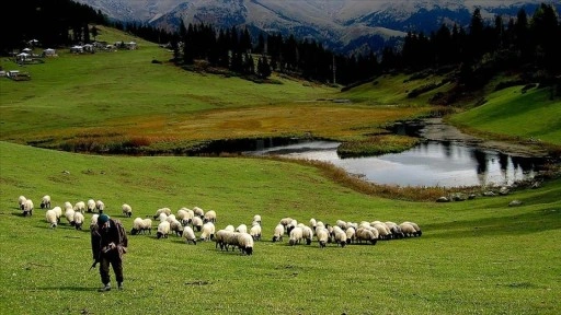 Hayvancılık desteklemelerinin uygulanmasında düzenlemeye gidildi