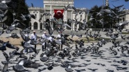 Hayvanseverler, İstanbul'un tarihi meydanlarında güvercinleri besledi