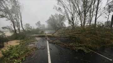 Hindistan'ın Batı Bengal eyaletinde fırtınanın yol açtığı kazalarda 5 kişi yaşamını yitirdi