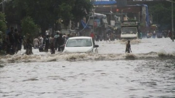 Hindistan'ın kuzeyindeki şiddetli yağışların yol açtığı heyelanlarda 15 kişi öldü