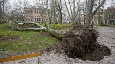 Hırvatistan'ın başkenti Zagreb'de şiddetli fırtına nedeniyle okullar tatil edildi