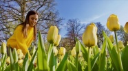 Hollanda'da 'çiçeğin gücü' teması ile lale zamanı