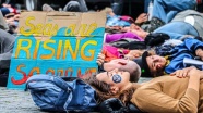 Hollanda'da 'iklim değişikliği'ne karşı işgal eylemleri