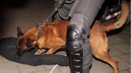Hollanda'da Türk vatandaşlarına polis köpekleriyle müdahale