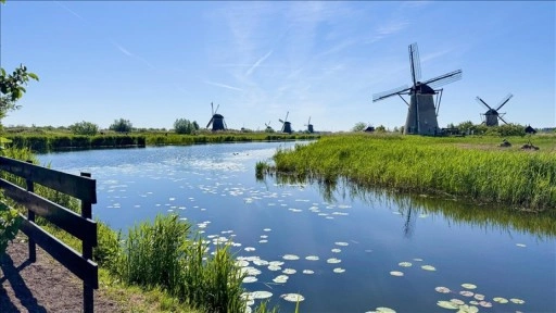 Hollanda'da 'Ulusal Değirmen Günü'nde yüzlerce değirmenin kapısı ziyaretçilere açıldı