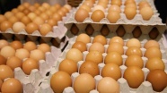 Hollanda hükümeti 'ilaçlı yumurta' iddialarını kabul etti