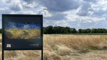 Hollandalı ressam Van Gogh, son eserlerini Fransa'nın Auvers-sur-Oise köyünde resmetti