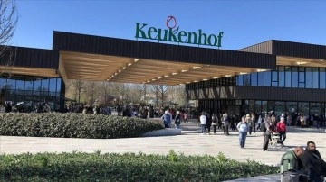 Hollanda'nın lale bahçesi Keukenhof, Kovid-19 kısıtlamalarının ardından yeniden açıldı