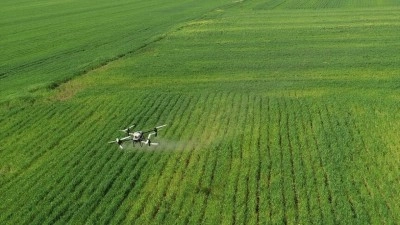 Hububat &uuml;reticisi nem artışıyla oluşabilecek hastalıklara karşı dronla ila&ccedil;lama yapıyor