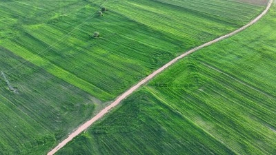 Hububat &uuml;retiminde bu yıl tarihin en y&uuml;ksek &uuml;retim miktarına ulaşılması bekleniyor