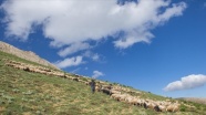 Huzura kavuşan Tunceli&#039;nin doğal güzellikleri göz kamaştırıyor