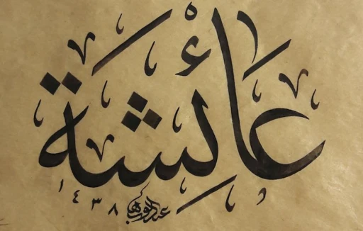 Hz. Ayşe’nin evlenme yaşı!.. -Ali Mevlüt Kaya yazdı-