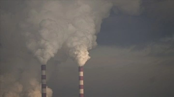 IEA: Küresel kömür talebi bu yıl zirve yapacak ve 2026'da düşüşe geçecek
