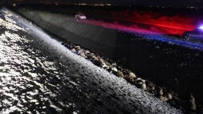 Iğdır'da arı saldırısı sonucu birbirini ezen 400 k&uuml;&ccedil;&uuml;kbaş hayvan telef oldu