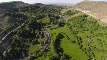 Iğdır'ın Üçkaya Vadisi yeşiliyle Karadeniz'i andırıyor