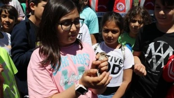 Iğdırlı öğrenciler doğayı ve kuşları, Aras Kuş Cenneti'nde öğreniyor