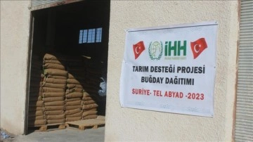 İHH'den Barış Pınarı Harekatı bölgesinde çiftçilere sertifikalı buğday tohumu desteği