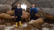 İkizlerin kendi hayvanlarının çobanı olma hayali Bakanlık projesiyle gerçek oldu