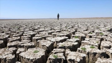 İklim değişikliğine bağlı kuraklık çölleşme riskini artırıyor