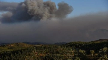 İklim değişikliğinin yol açtığı orman yangınları hava kalitesini düşürecek
