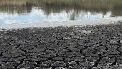 İklim krizi, gen&ccedil; kuşaklarda kaygı ve &ccedil;aresizlik duygusunu artırarak "eko-anksiyeteye" ned
