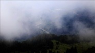 Ilgaz Dağı'nda oluşan sis görsel şölen sundu