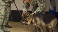 İncirlik Üssü'nün K-9 köpeği törenle emekli edildi